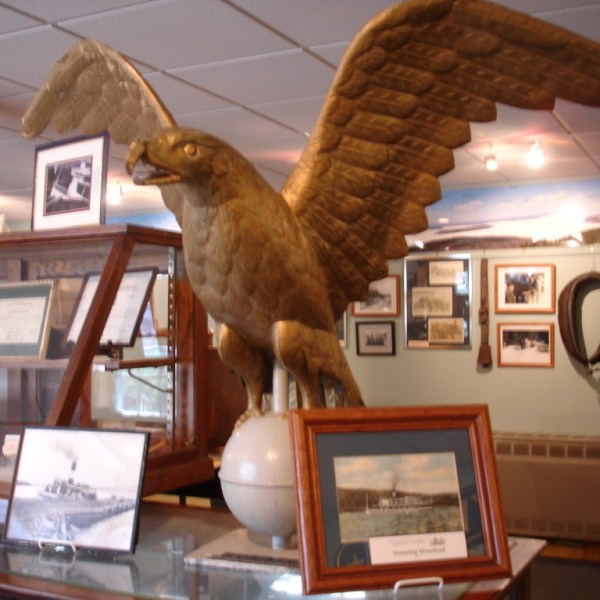 a cat sitting on a chair in a room