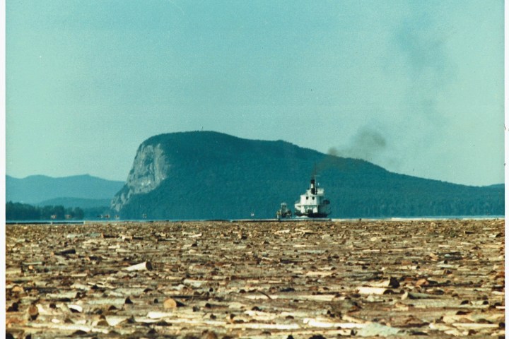 Boat on a river with a large hill in the background and fallen leaves on the ground.